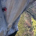 Free Solo: Lessons From The Edge